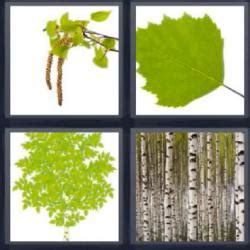 4 fotos 1 palabra 6 letras|4 fotos 1 palabra de 6 letras.